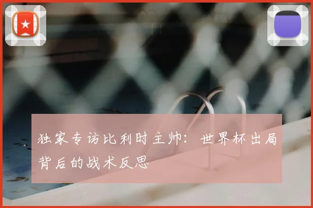 独家专访比利时主帅:世界杯出局背后的战术反思