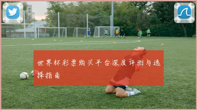 世界杯彩票购买平台深度评测与选择指南
