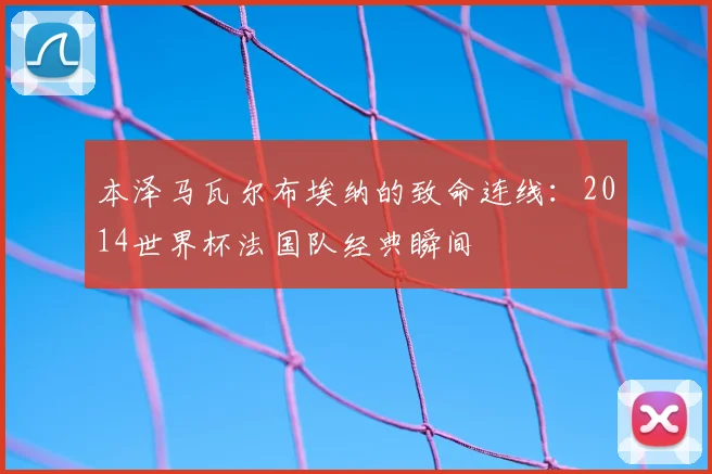 本泽马瓦尔布埃纳的致命连线：2014世界杯法国队经典瞬间