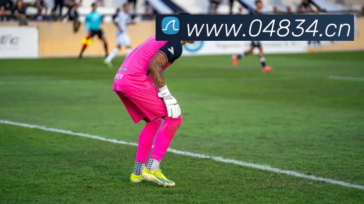 mk体育app官网登录入口服务体系